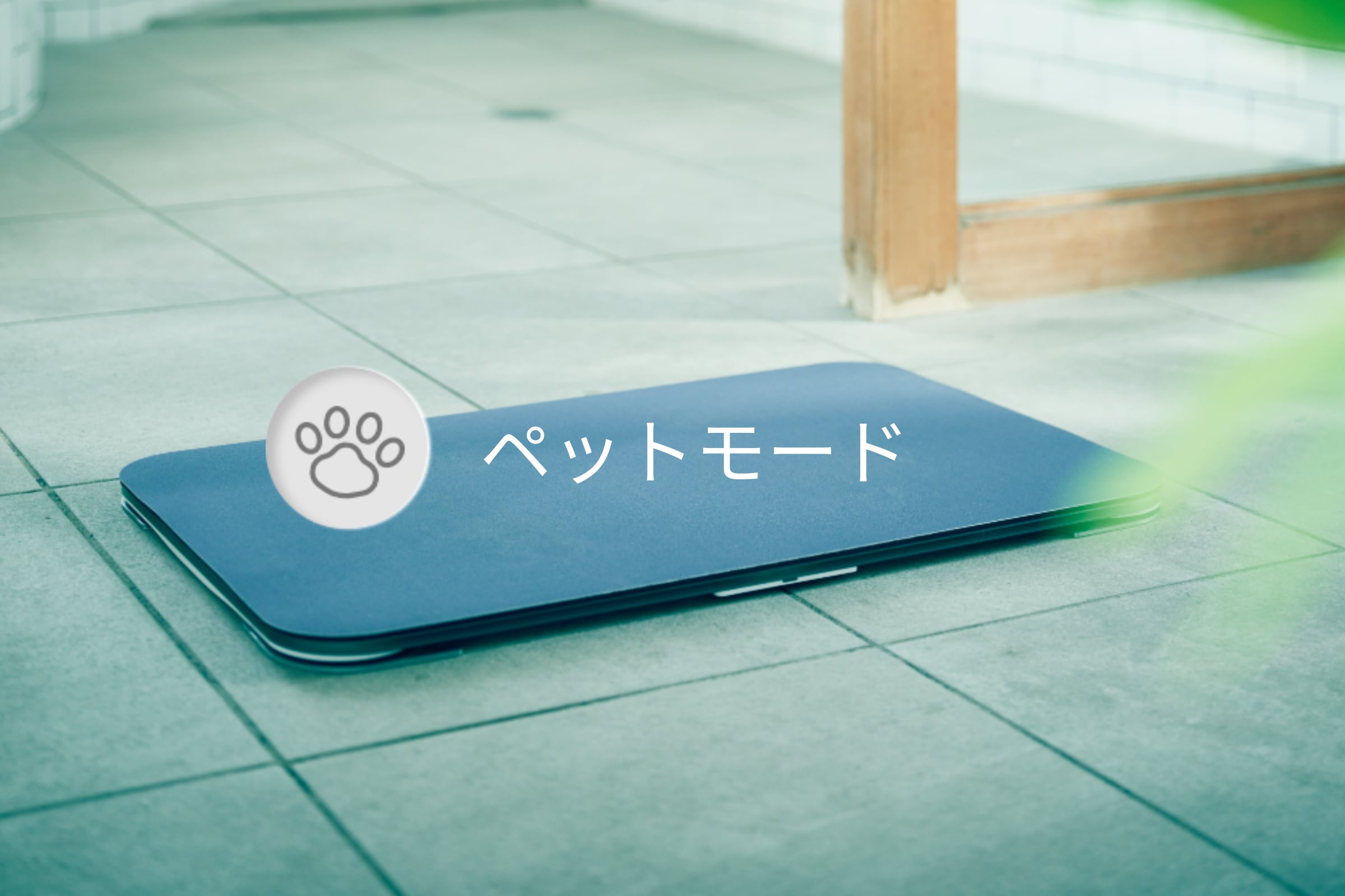 スマートバスマット、ペットの体重管理ができるようになりました